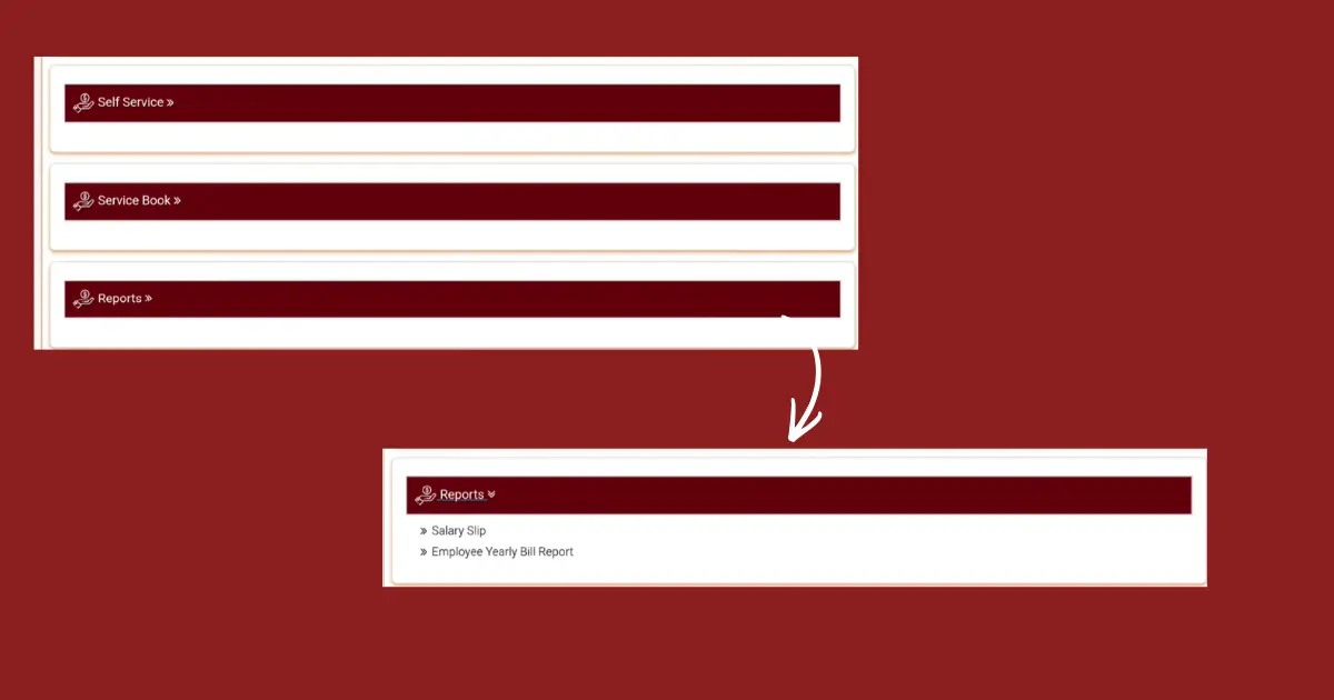 HRMS Bihar Salary Slip Download